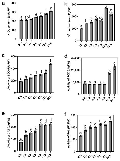 IJMS | Free Full-Text | Transcriptomic Profiling of Tomato Leaves Identifies Novel Transcription ...