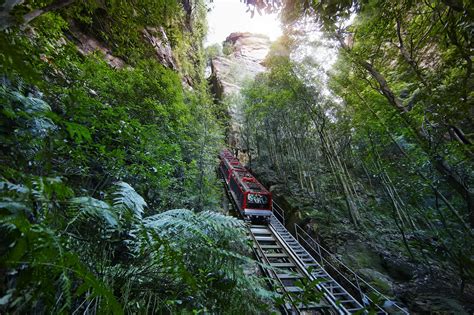 Scenic Railway | Scenic World