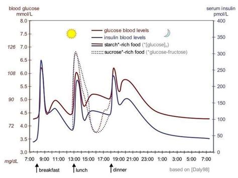 How Does Diabetes Affect The Endocrine System | DiabetesTalk.Net