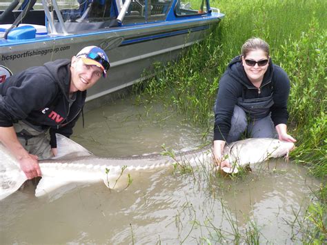 WesternSportfishing.ca Journal: Sturgeon Fishing Adventure