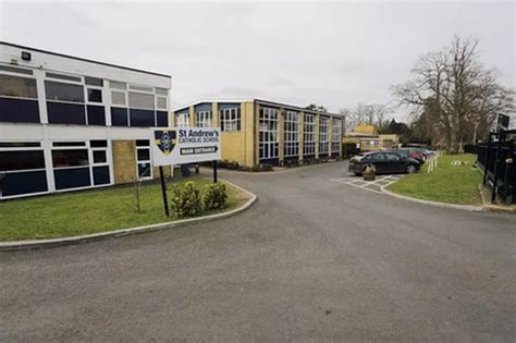 Leatherhead school becomes one of only 34 in country to achieve 'world ...