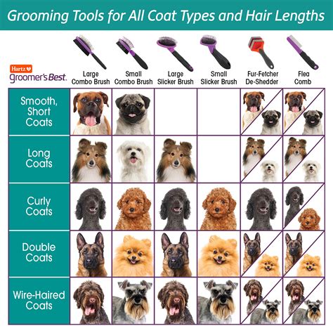 Dog Types Of Brushes