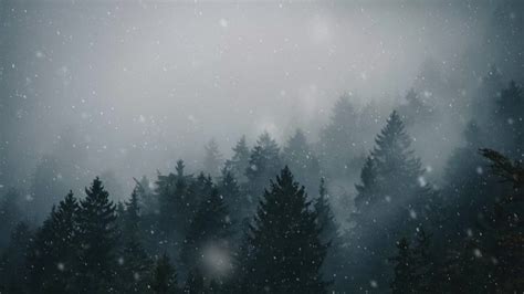 Dark Winter Forest Road Live Wallpaper - MoeWalls