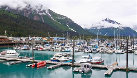 Top 15 Seward Attractions & Things To Do You Can't Miss | Attractions ...