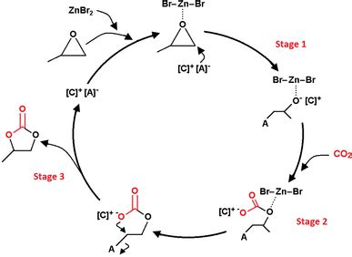 Proposed mechanism for the synthesis of propylene carbonate from ...