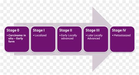 Cancer Stages - Many Stages Of Cancer, HD Png Download - 1406x695 ...