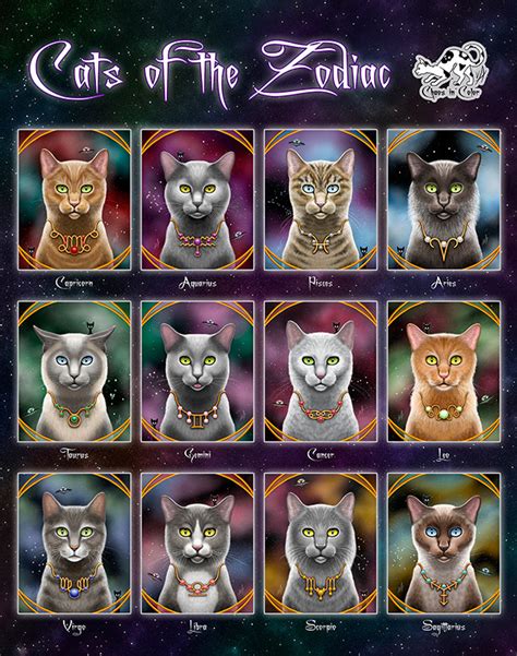 Zodiac Signs as Cats | HoroscopeFan