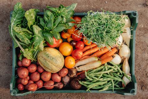 How to Save $24,000 a Year Growing Your Own Food - Trulia's Blog - Life ...