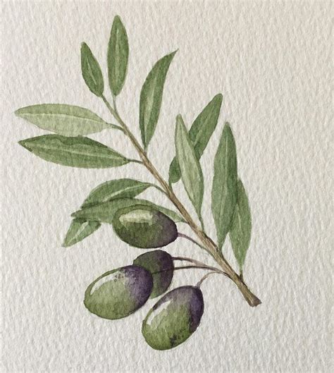 Items similar to olive branch postcards, set of three, original watercolor painting on Etsy ...