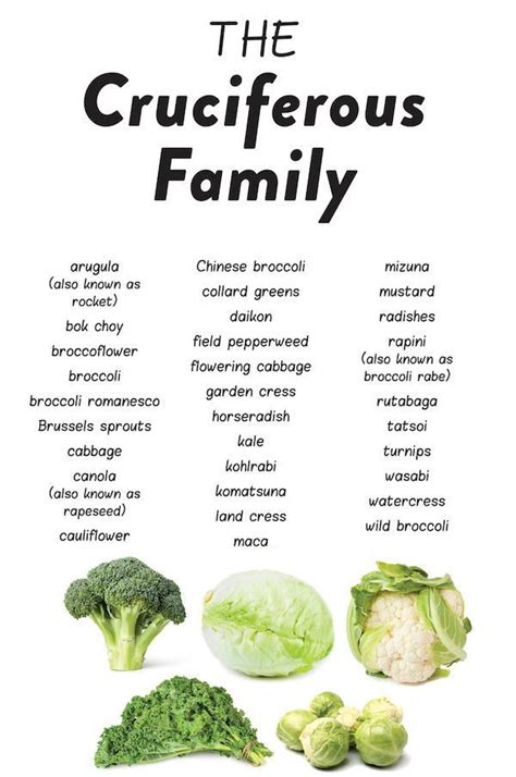 The Health Benefits of Cruciferous Vegetables in 2022 | Cruciferous ...