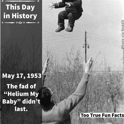 This Day In History Funny | Images and Photos finder