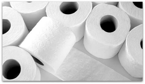 7 Great Random Facts About Toilet Paper History