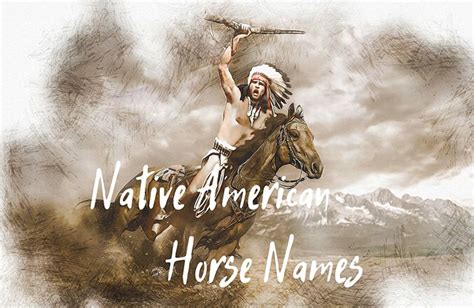 200 Native American Horse Names For a Serene Equine