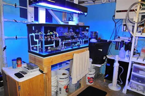 TM01's Fabulous Reef | Saltwater aquarium setup, Cool aquariums, Reef aquarium