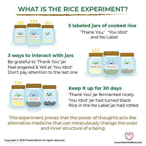 Rice Experiment - Can Positivity Change Your Life?