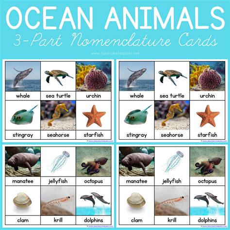 Top 105 + Aquatic animals chart - Inoticia.net