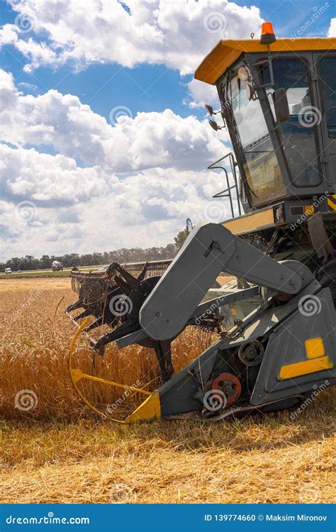 Harvester Machine To Harvest Wheat Field Working Stock Photo - Image of golden, grow: 139774660