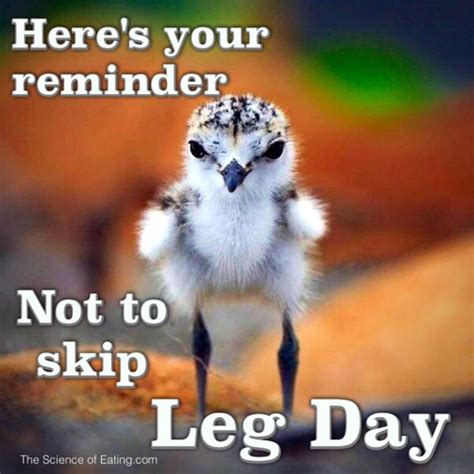 WARNING: Skipping leg day leads to bird legs. ^^PROOF^^ #fitness #motivation #inspiration ...