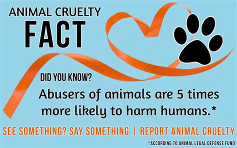 Top 110+ Facts about cruelty to animals - Merkantilaklubben.org