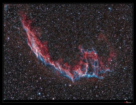 Astro Anarchy: A supernova remnant, the "Veil Nebula" reprocessed