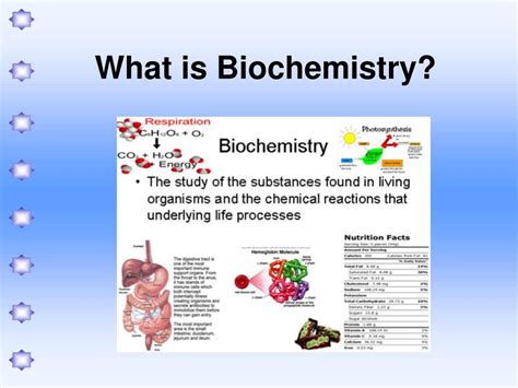 PPT - Biology Biochemistry Unit Chapter 2 The Chemistry of Life PowerPoint Presentation - ID:1776028