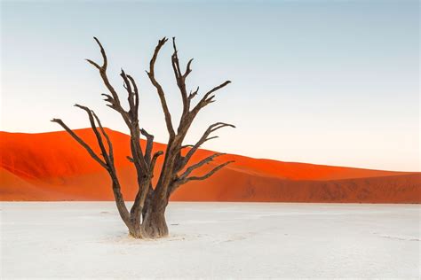 Discover Namibia's Stunning Landscapes, Wildlife, and Architecture ...