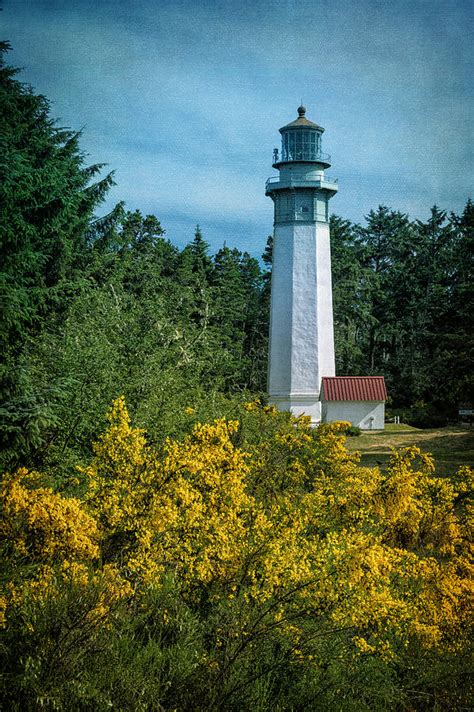 Grays Harbor Lighthouse Photograph by Joan Carroll | Fine Art America