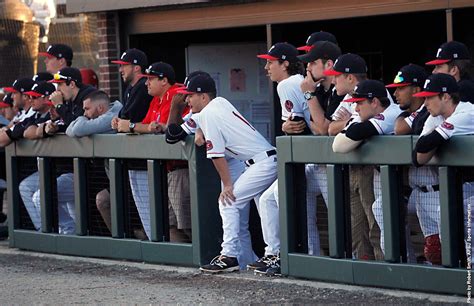 APSU Baseball plays Mercer Bears at home this weekend - Clarksville Online - Clarksville News ...