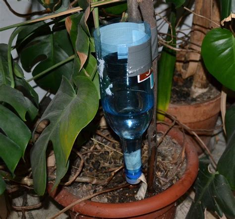 Great idea for watering plant when you are not around! Drip Watering System, Garden Watering ...