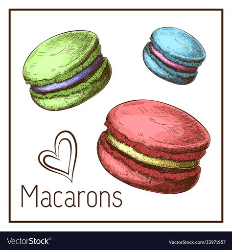 Cute color macarons drawing isolated on white Vector Image