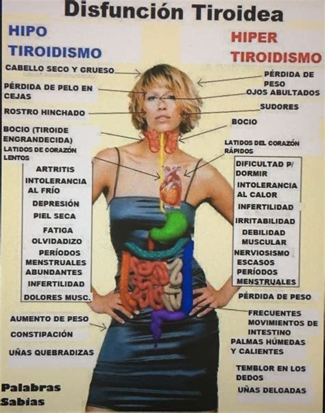 Pin by Patricia on Salud y bienestar | Thyroid, Thyroid issues, Thyroid cure