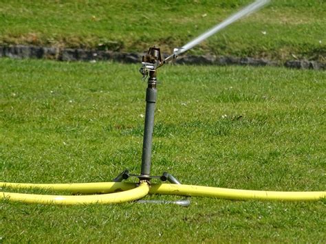 Garden Watering Sprinkler Free Stock Photo - Public Domain Pictures