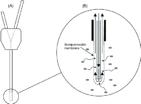 Microdialysis probe. A microdialysis probe is formed by a semipermeable ...