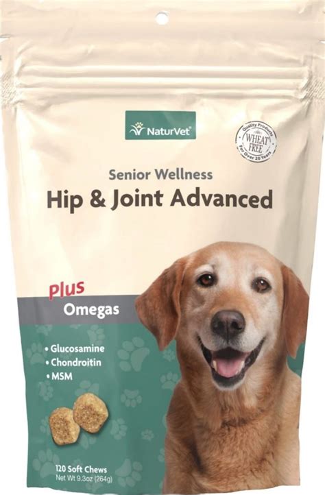 Joint Supplements for Dogs: Are They Worth it? | Joint Supplements