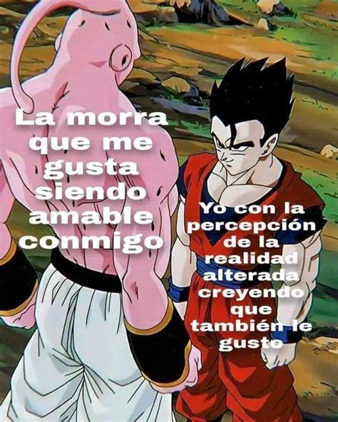 Gohan Meme | Gohan Con La Percepción De La Realidad Alterada / Gohan ...