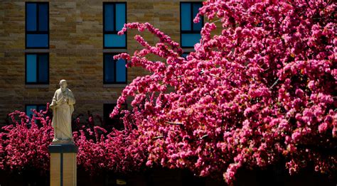 University Announces Major Renovation for Chapel of St. Thomas Aquinas - Newsroom | University ...