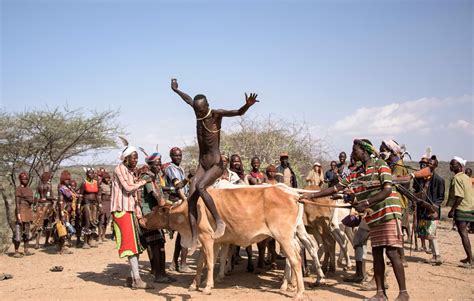 Ethiopian Coming Of Age Tradition Hamar Cow Jumping - All About Cow Photos