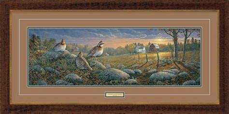 Quail Art Prints | Art prints, Art, Prints