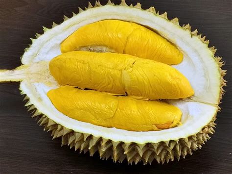 Honest Geylang Durian 36 Singapore. Don't Sell Cheap but Won't Cheat ...