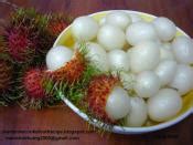 Rambutan Recipes | Recipebridge Recipe Search