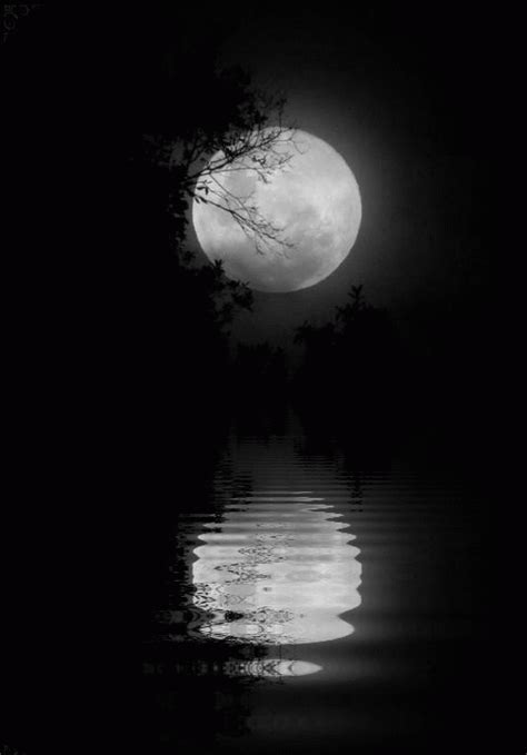 †Goth Dolly©† | Moon photography, Beautiful moon, Moon art
