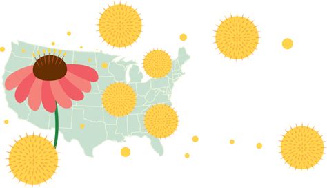 What is a Pollen Allergy? Why Pollen Causes Allergies & More| ZYRTEC®