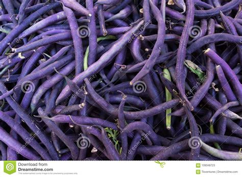 Purple Green Beans for Sale at a Farmers` Market Stock Image - Image of farmers, closeup: 109348723