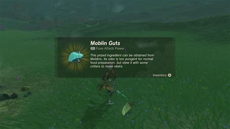 How To Farm Zelda TOTK Moblins To Farm Horns, Guts & Fangs