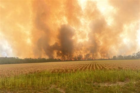 Louisiana’s unprecedented wildfires, briefly explained - Vox