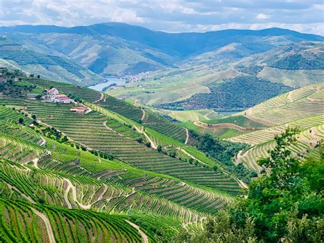 Douro Valley: Tips And Things To Know | Geeky Explorer