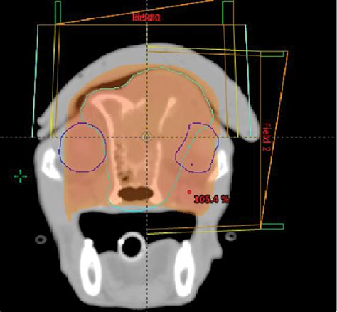 As Nasal Tumor Cases Grow, So Do Options – Veterinary Practice News Canada