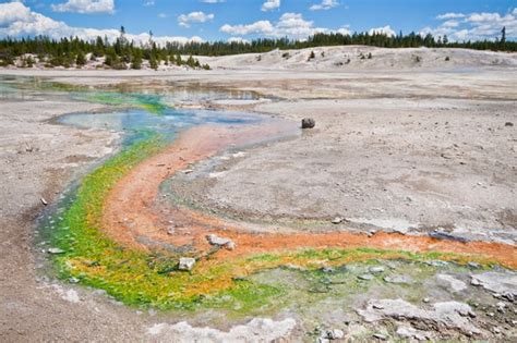 Yellowstone National Park Rattled by Largest Earthquake in 34 years ...