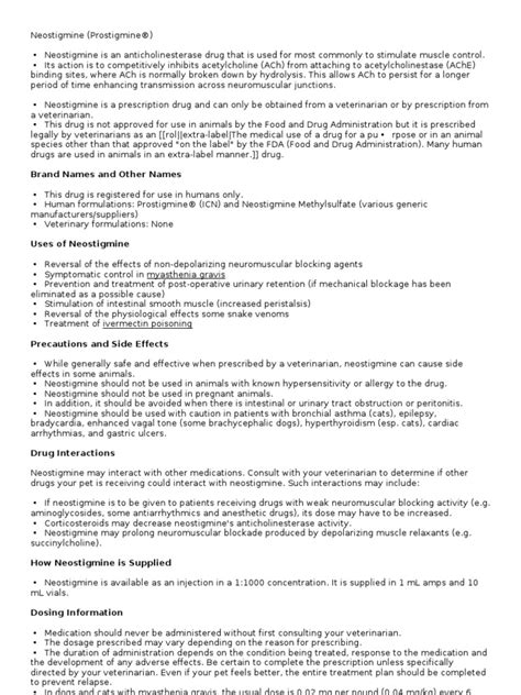 Neostigmine | Acetylcholine | Pharmaceutical Drug