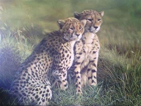 Oil painting cheetah